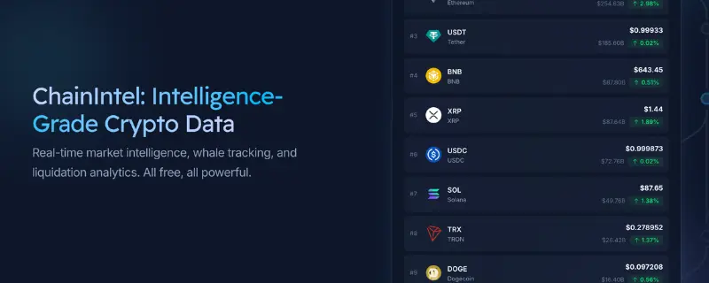 ChainIntel.io on-chain intelligence platform website